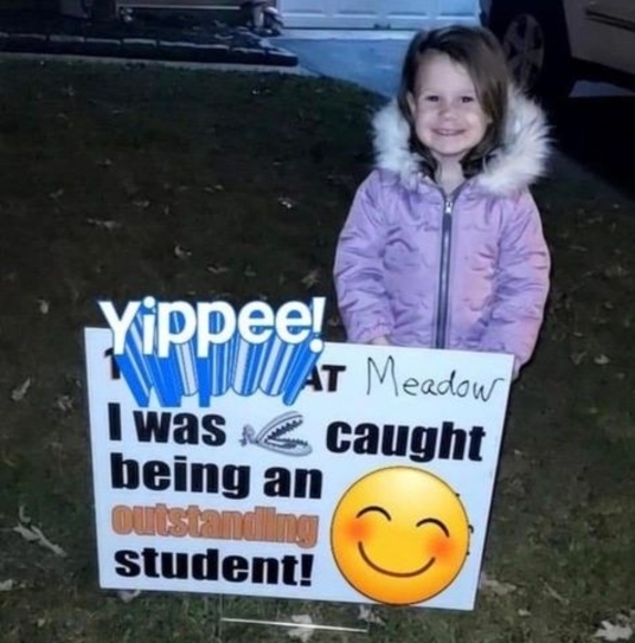 Meet your Posher, Barbara - Picture 1 of 1